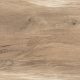 Porcelan gres plošče za teraso 2cm Selva Amazzonia 2cm - 40x120 Rjava Imitacija Lesa - Kamen Stožice